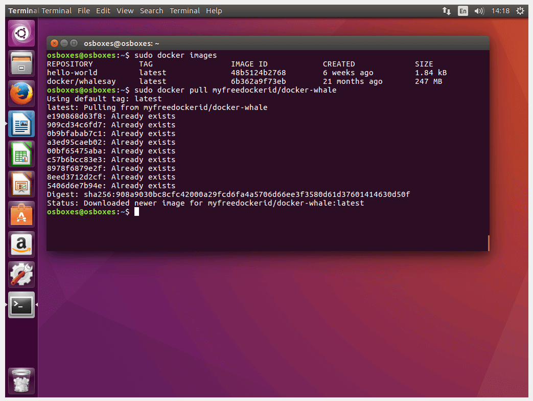 Terminal Ubuntu: descarga desde Docker Hub