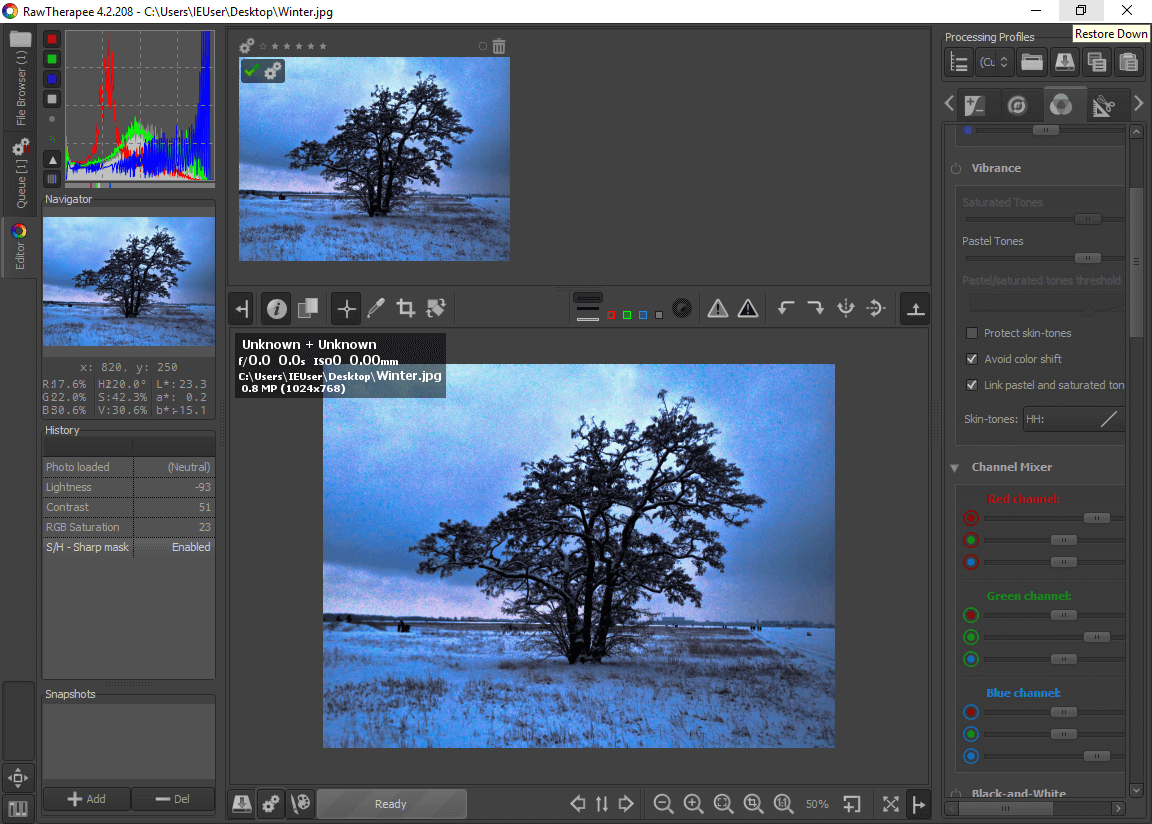 Editores de fotos gratis: alternativas a Lightroom - IONOS