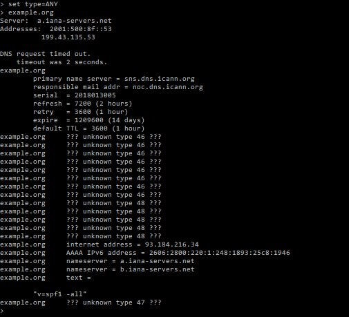 Comprobación nslookup con el servidor DNS seleccionado por el usuario