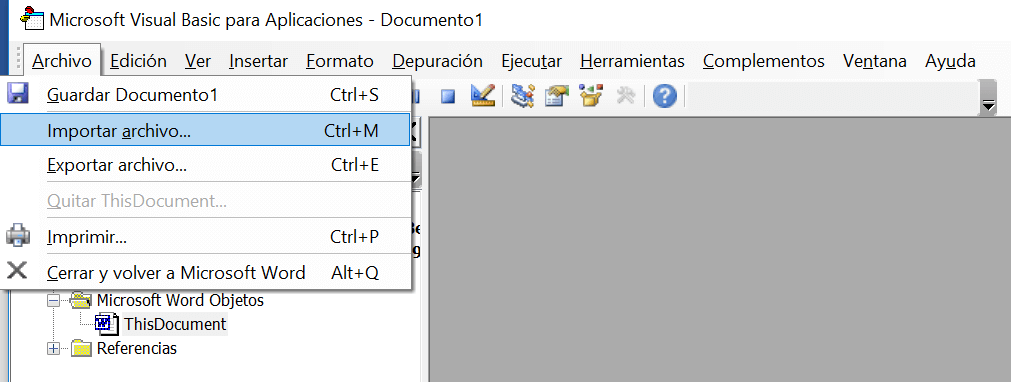 Opción “Importar archivo” en el editor de Visual Basic