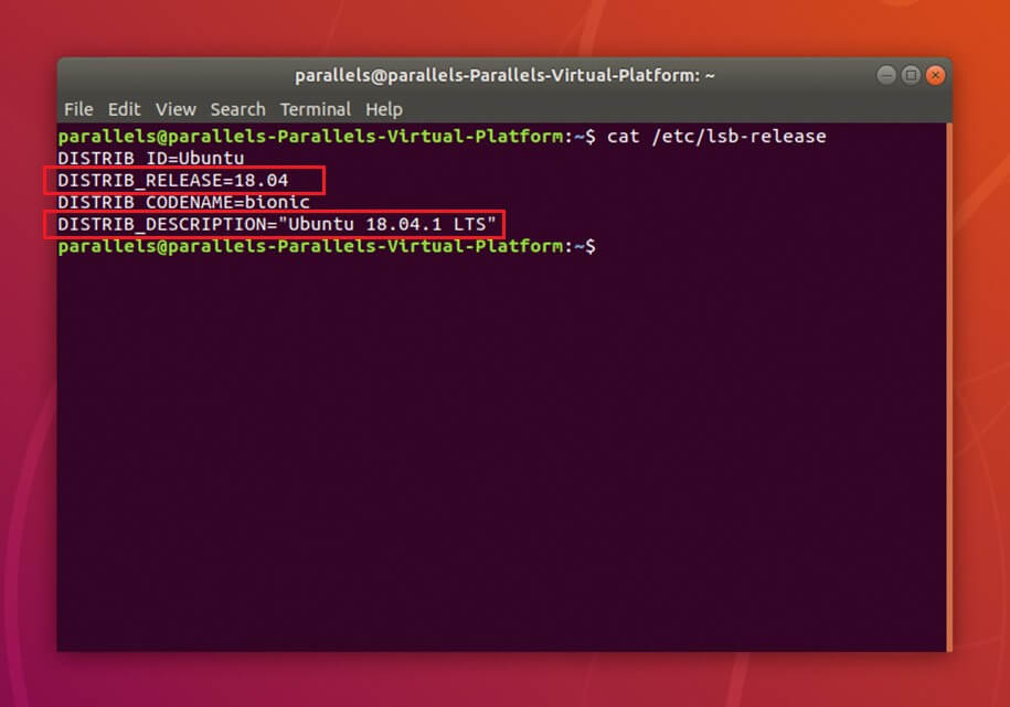 El terminal lee el contenido del archivo /etc/lsb-release, incluida la versión de Ubuntu instalada
