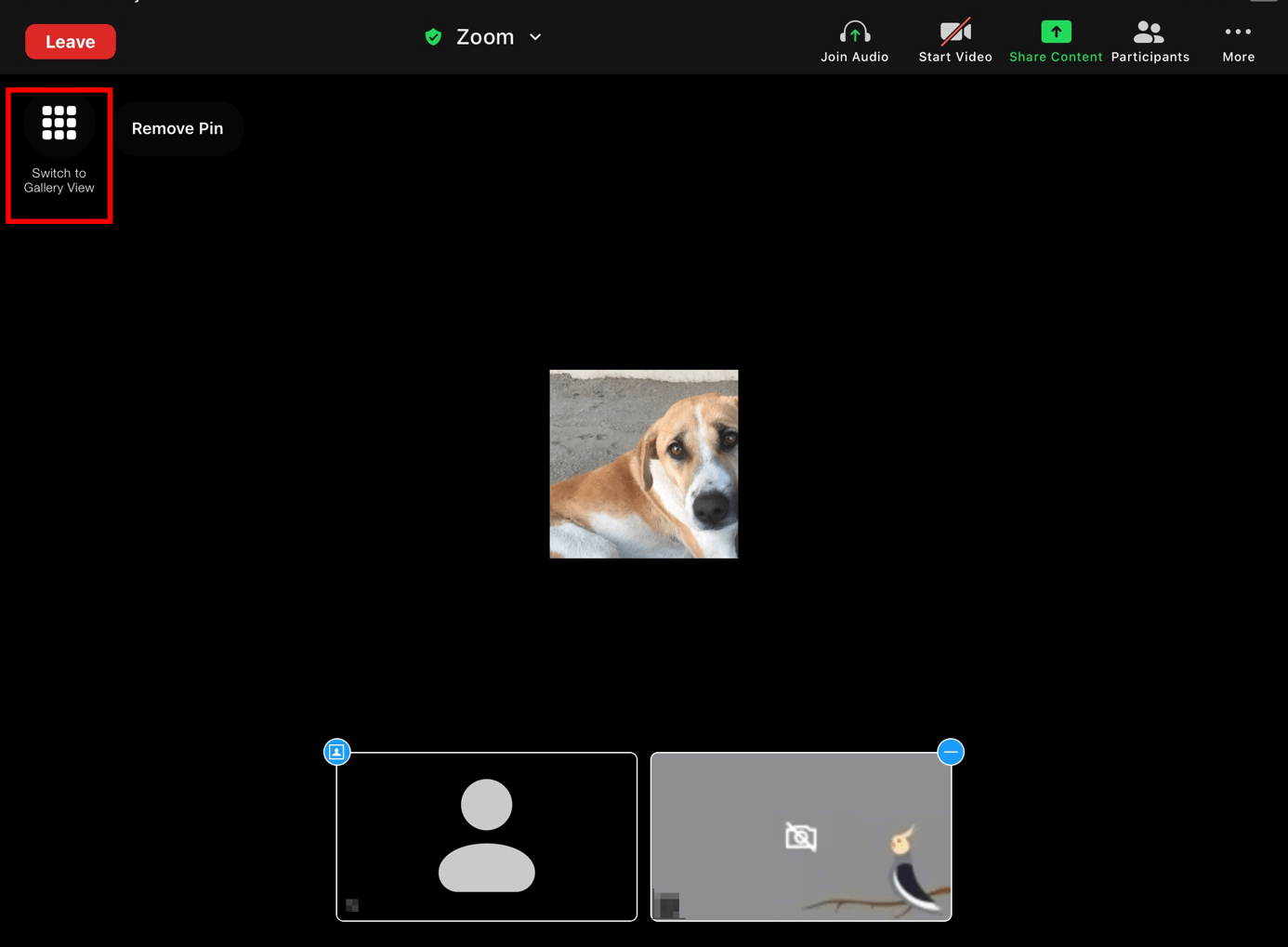 Cambiar en el iPad a la vista de galería en Zoom