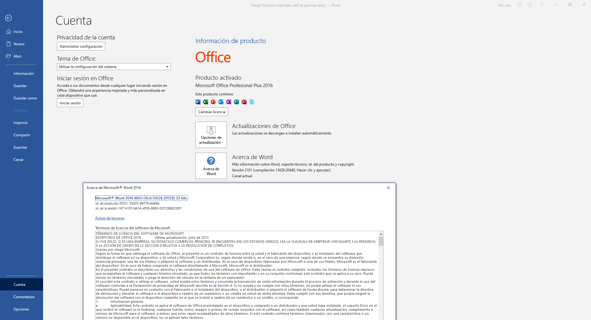 Cómo saber qué versión de Office tengo? Comprobar versión de Office - IONOS