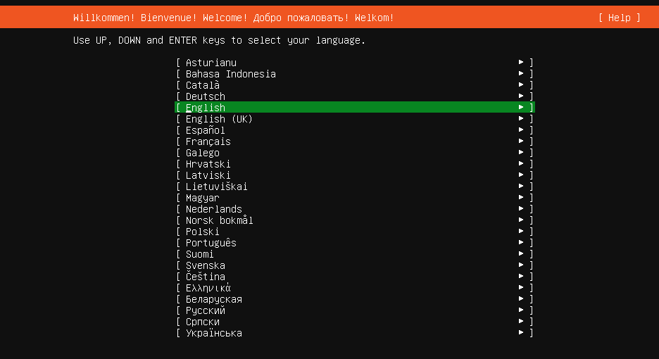 Instalación del Ubuntu Server: selección de idioma