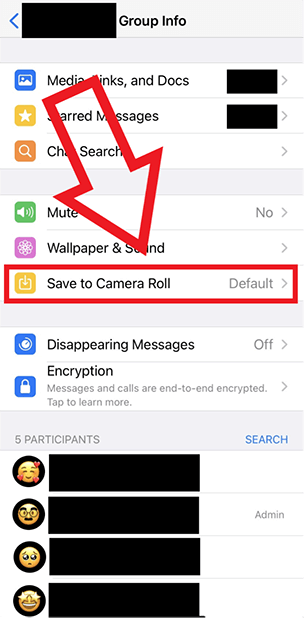 Captura de pantalla del iPhone en la que se destaca la opción “Guardar en el carrete” en la información del grupo