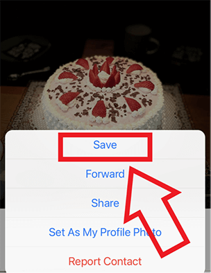 Captura de pantalla de iPhone de la opción “Guardar” después de seleccionar una foto de WhatsApp