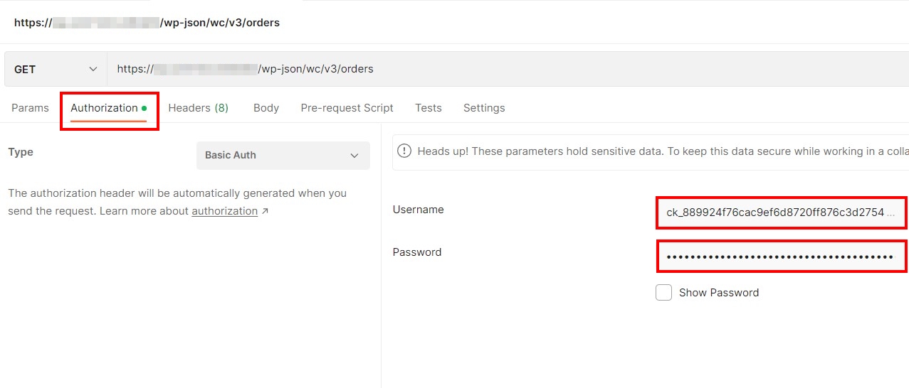 Captura de pantalla de Postman: introduce el API Key y Secret
