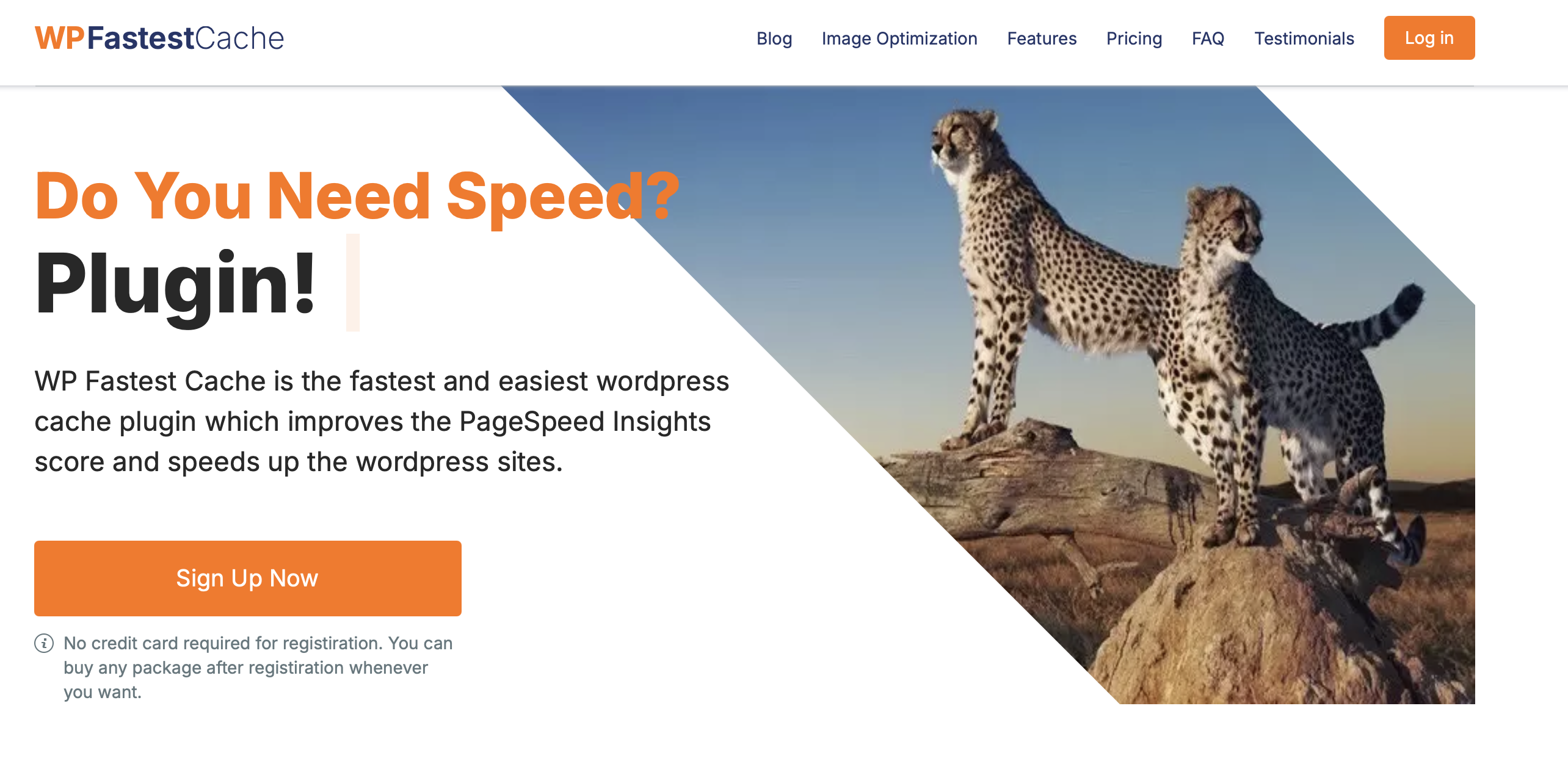 Captura de pantalla de la página web de WP Fastest Cache Imagen: Captura de pantalla de la página web de WP Fastest Cache