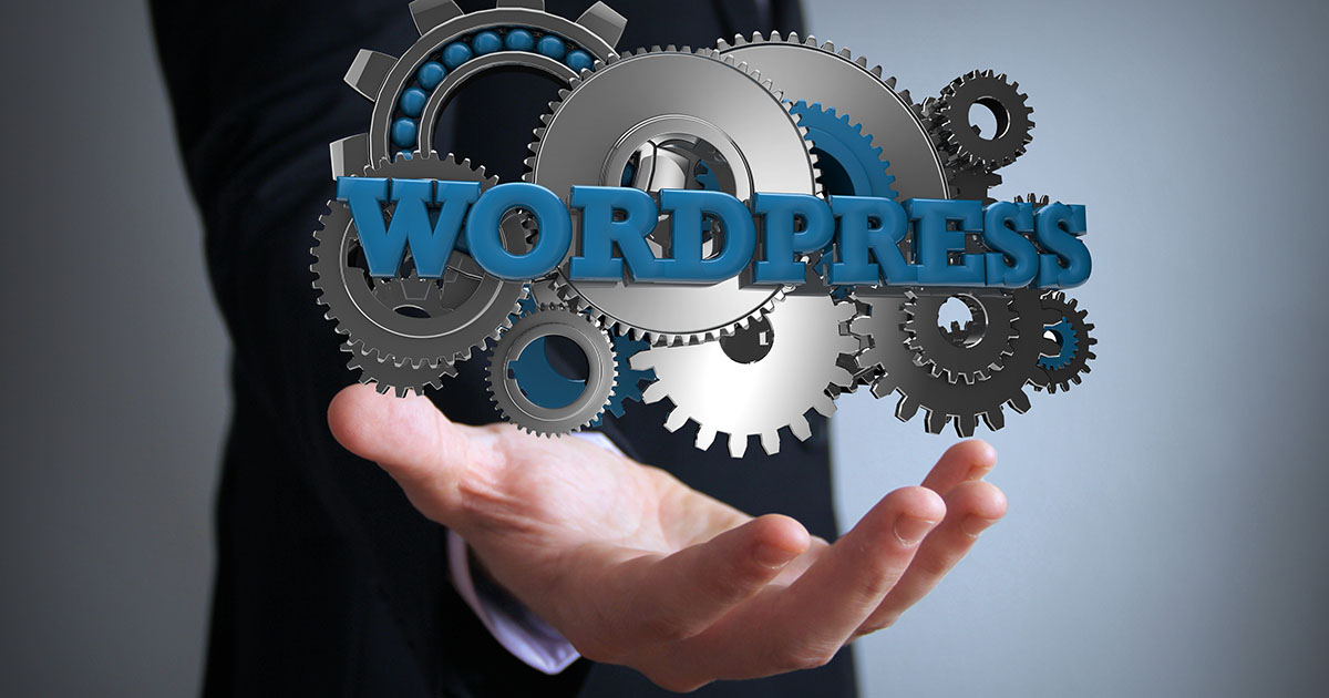 Estructura y componentes de los temas de WordPress