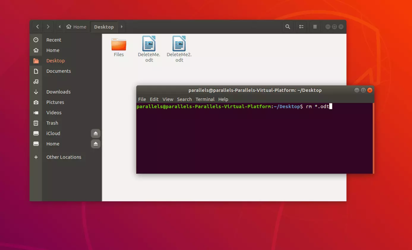Imagen: Elimina archivos de un tipo determinados a través de la terminal de Linux