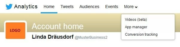 Imagen: Screenshot del menú de Twitter Analytics