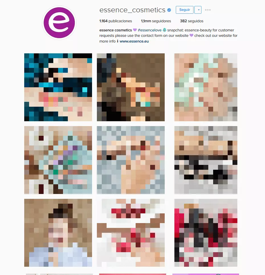 Imagen: Perfil de la marca essence en la versión web de Instagram