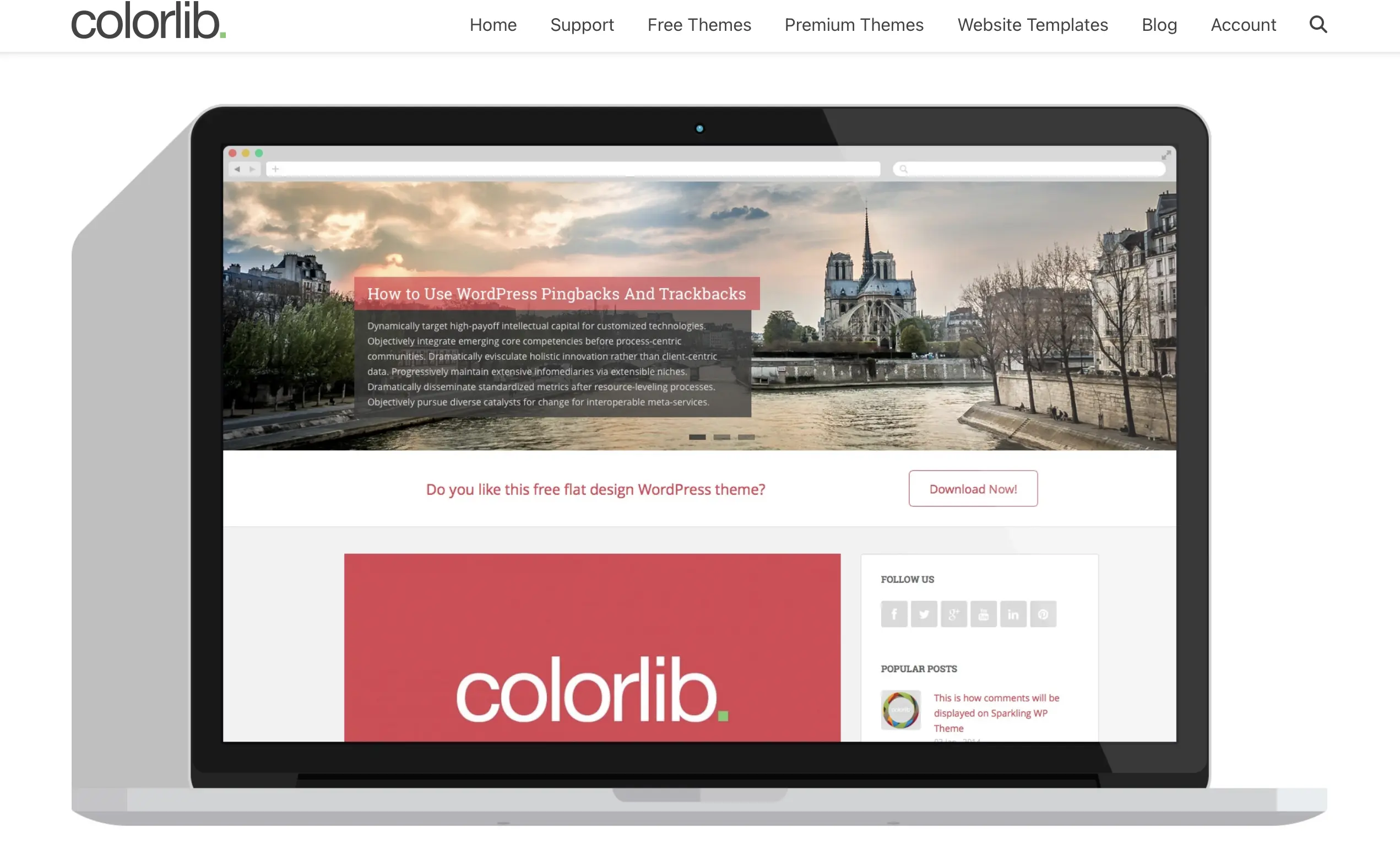 Página web del desarrollador de Sparkling, Colorlib Imagen: Página web del desarrollador de Sparkling, Colorlib