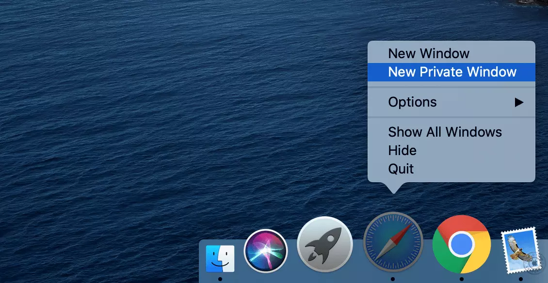 Imagen: Habilitar la navegación privada de Safari en Mac desde el Dock