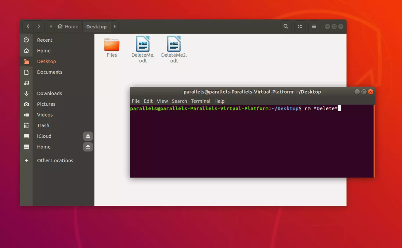 Imagen: Elimina archivos con nombres de archivo determinados a través de la terminal de Linux