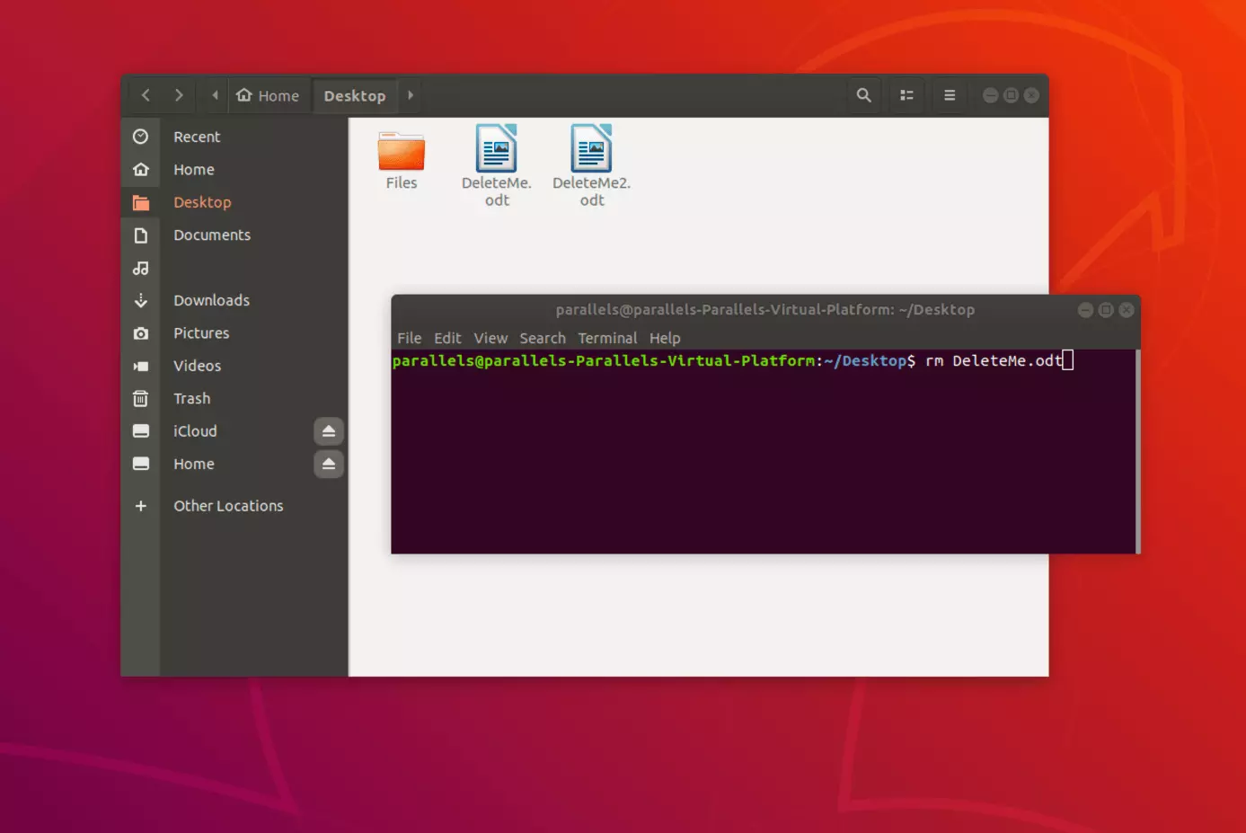 Imagen: Elimina archivos individuales en Linux a través de la terminal