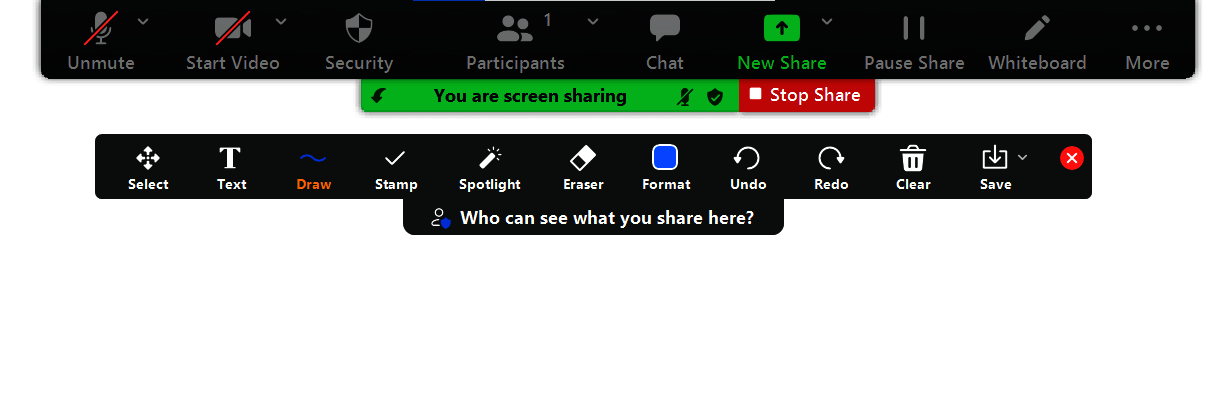 Zoom Whiteboard vacía con las opciones de presentación Zoom Whiteboard vacía con las opciones de presentación