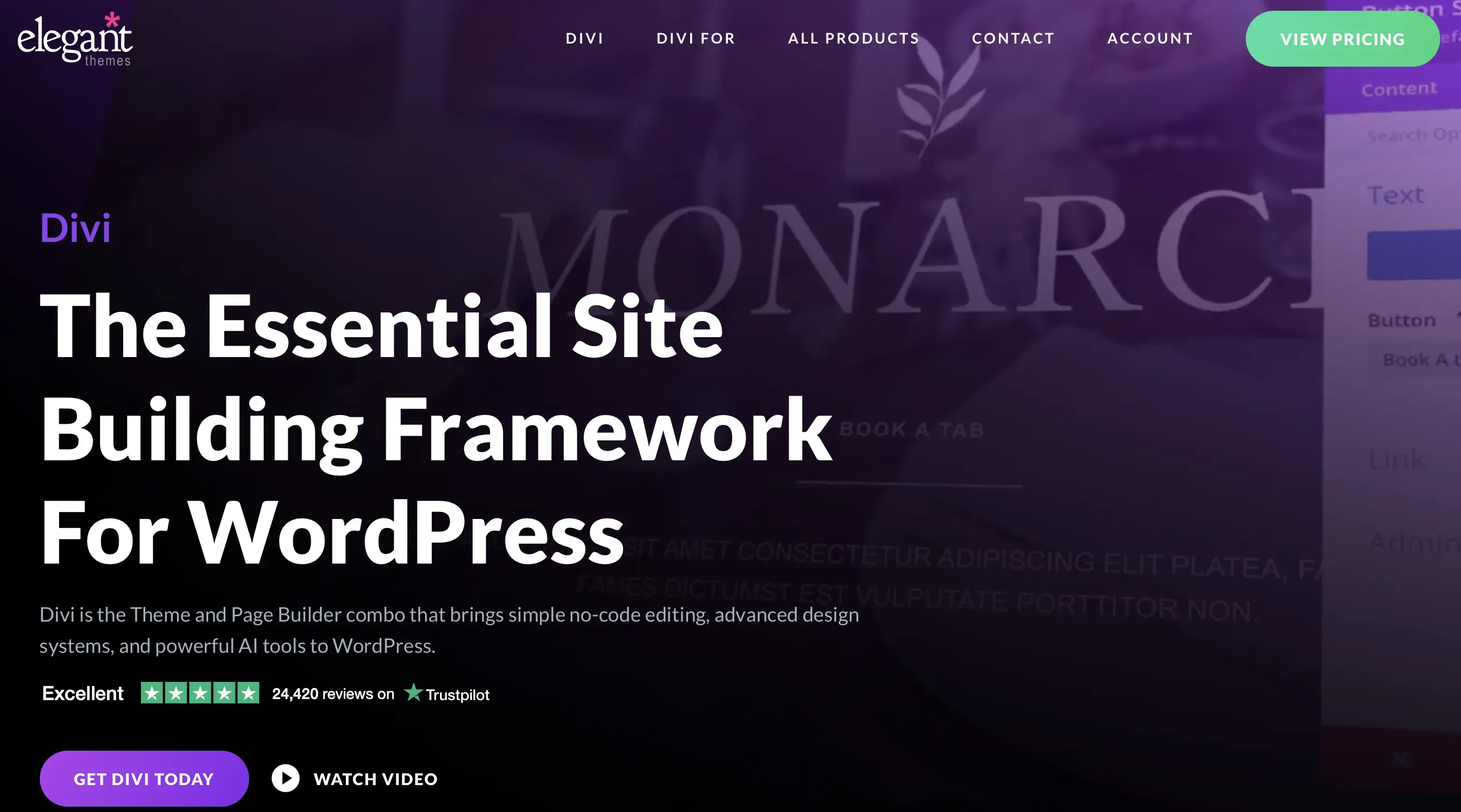 Imagen: Plantilla Divi de WordPress hecha por Elegant Themes