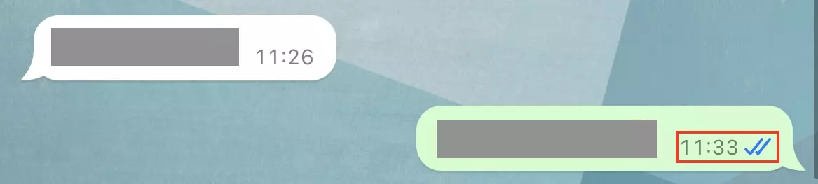 Captura de pantalla del estado de entrega de un mensaje en WhatsApp Imagen: Captura de pantalla del estado de entrega de un mensaje en WhatsApp