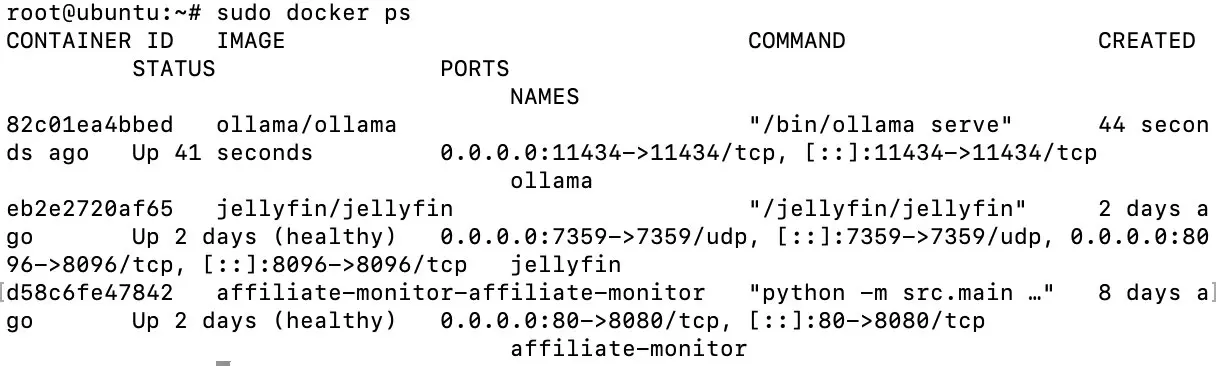 Captura de pantalla de la salida de docker ps Imagen: Captura de pantalla de la salida de docker ps