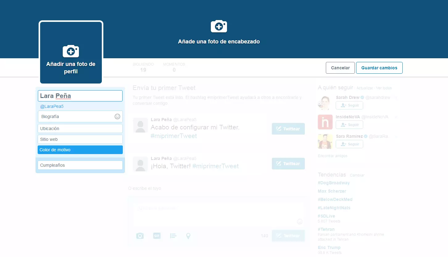 Captura de pantalla de la interfaz de Twitter para editar el propio perfil