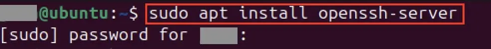 Imagen: Captura de pantalla de la instalación de OpenSSH en el terminal