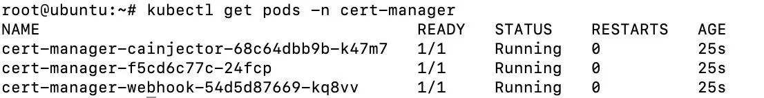 Instalación de cert-manager con Helm Imagen: Instalación de cert-manager con Helm