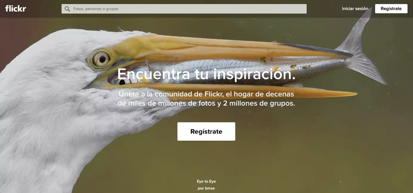 Imagen: Alternativas a Instagram: web de Flickr