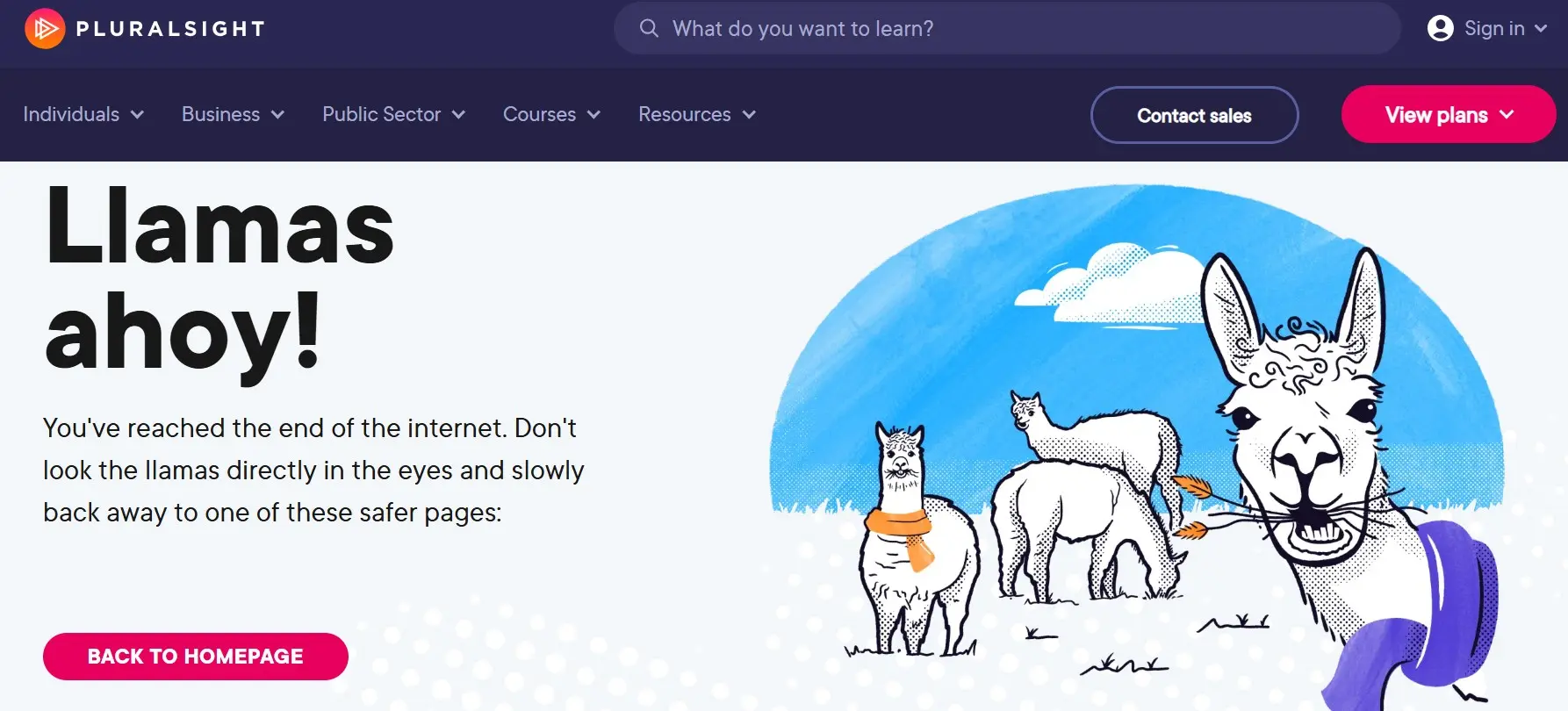 Imagen: Página 404 de Pluralsight Imagen: Imagen: Página 404 de Pluralsight