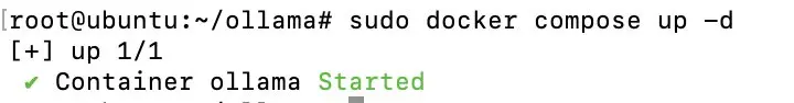 Iniciar el contenedor con Compose Imagen: Iniciar el contenedor con Compose