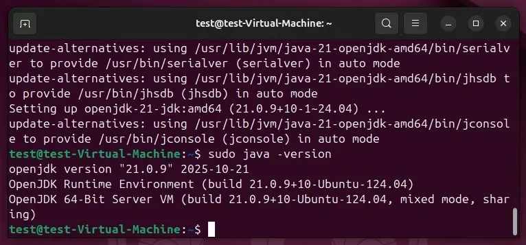 Imagen: Ubuntu 24.04: comprobación de la versión de Java en el terminal