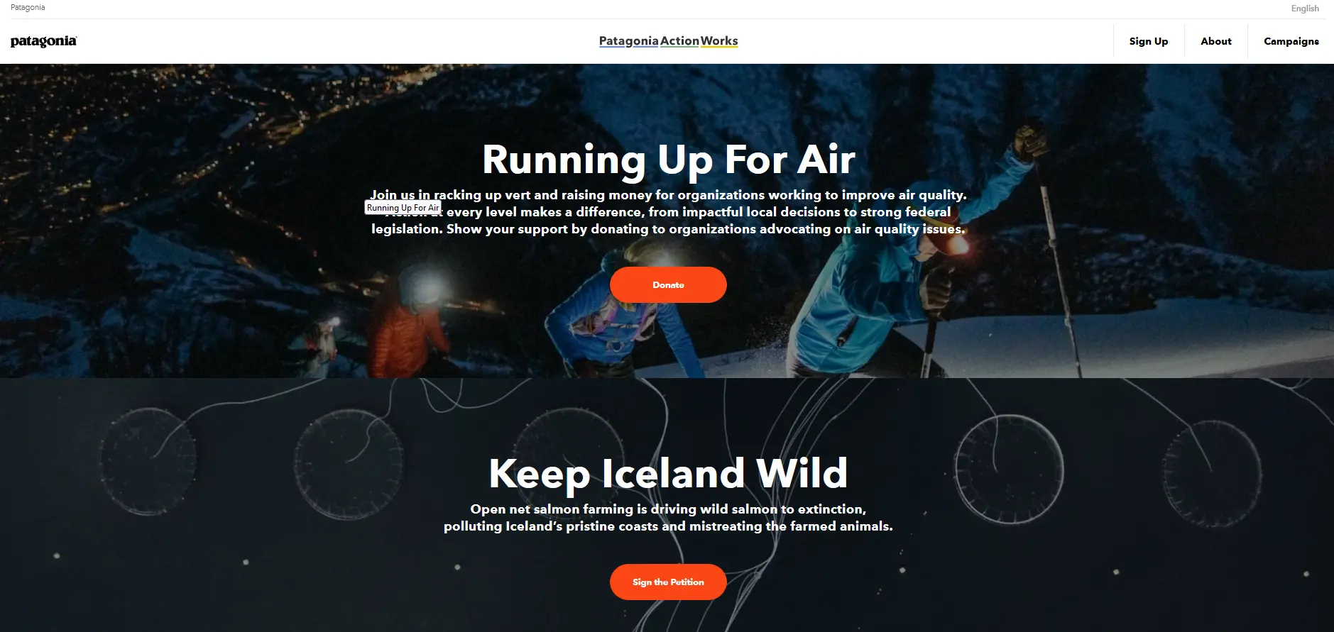 Captura de pantalla de la web de Patagonia mostrando campañas sobre protección marina y energía ciudadana Imagen: Captura de pantalla de la web de Patagonia mostrando campañas sobre protección marina y energía ciudadana