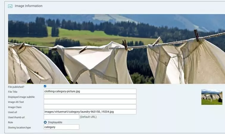Imagen: Tienda Joomla con VirtueMart: definir la información de la categoría de imagen