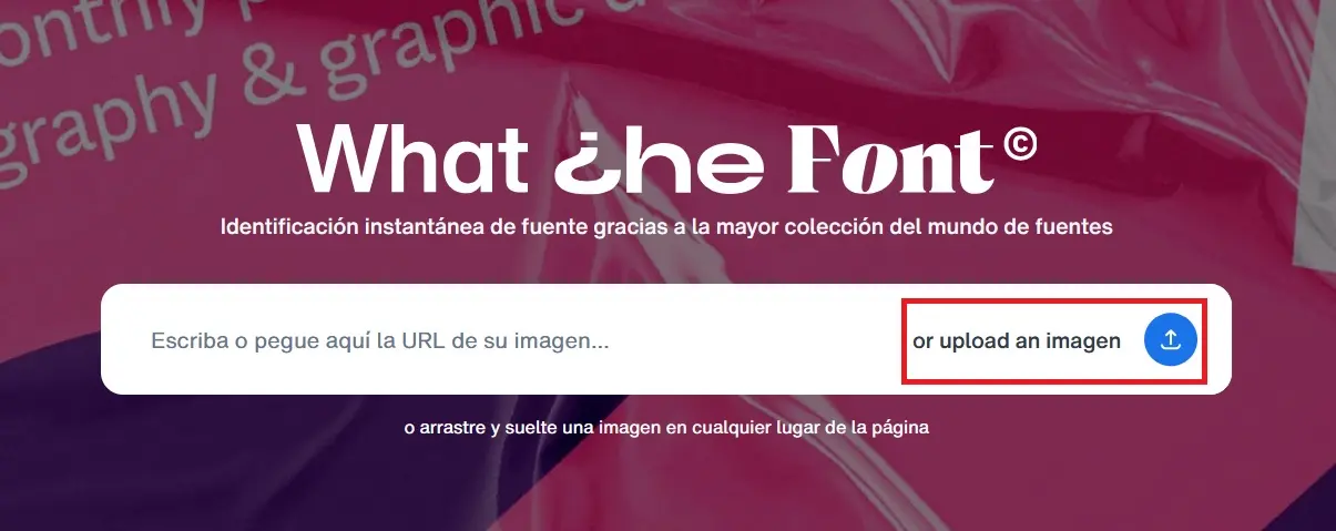 Imagen: Función de la app para subir una imagen