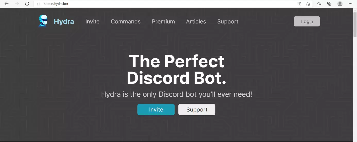 Entra a la página web del bot de música deseado