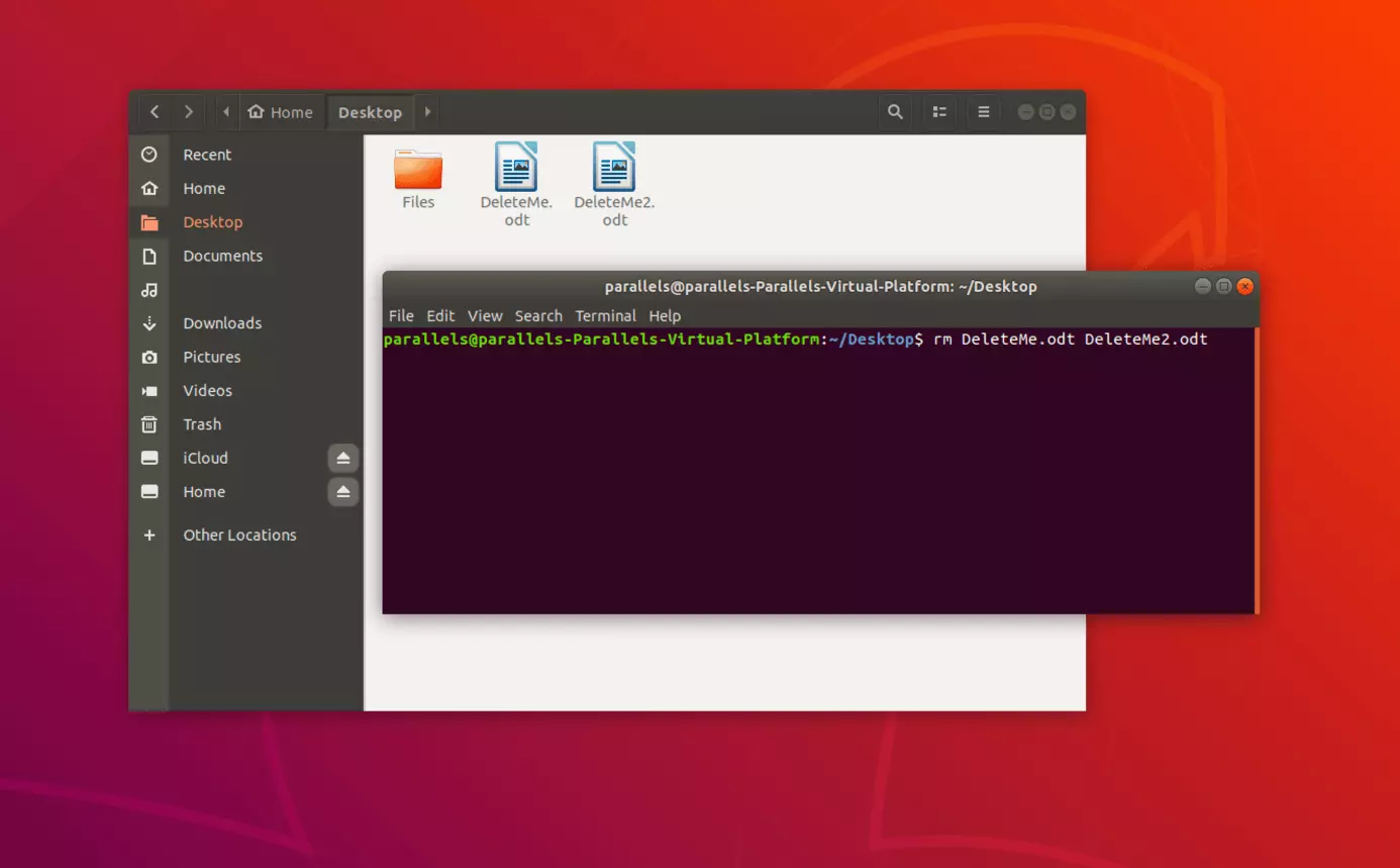 Imagen: Elimina varios archivos en Linux a través de la terminal
