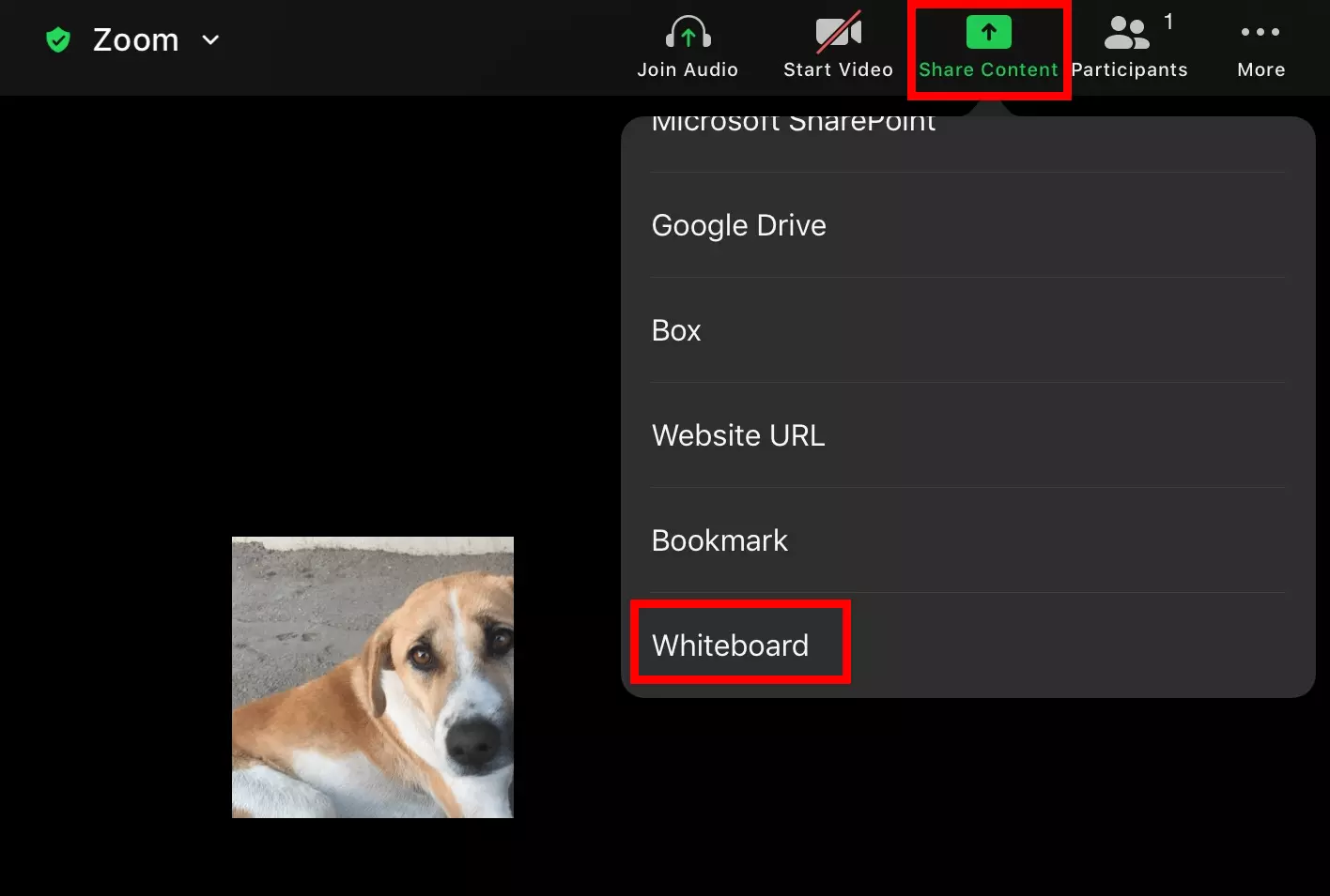 Opción para iniciar la pizarra de Zoom en la app del iPad