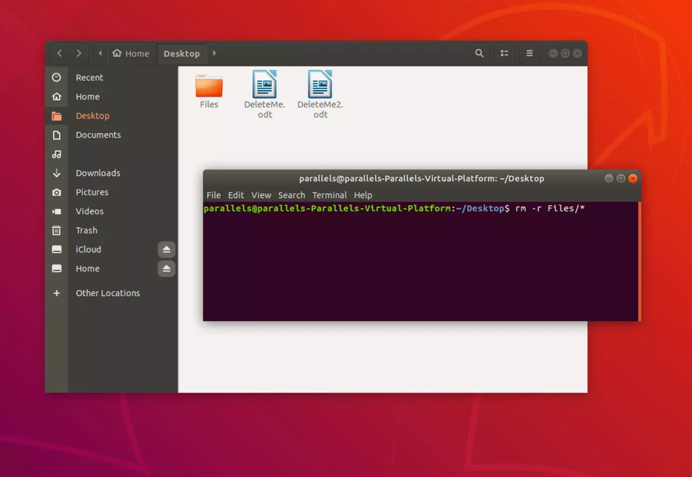 Imagen: Elimina archivos y subcarpetas de una carpeta determinada a través de la terminal de Linux