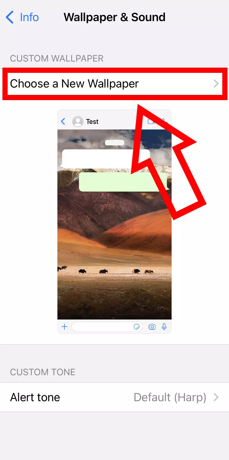 Captura de pantalla de iPhone en la opción de cambio de fondo de pantalla Captura de pantalla de iPhone en la opción de cambio de fondo de pantalla