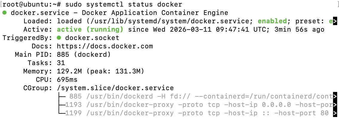 Estado de Docker Imagen: Estado de Docker