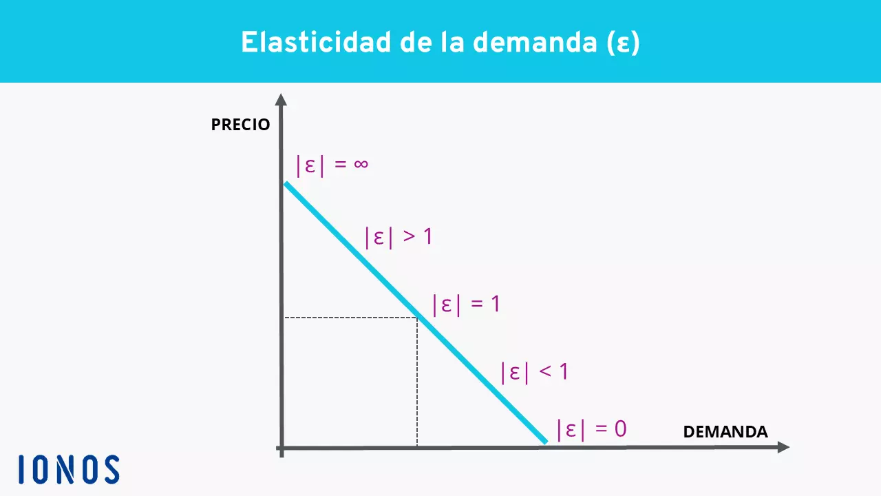 Imagen: Gr&aacute;fica de la elasticidad de la demanda
