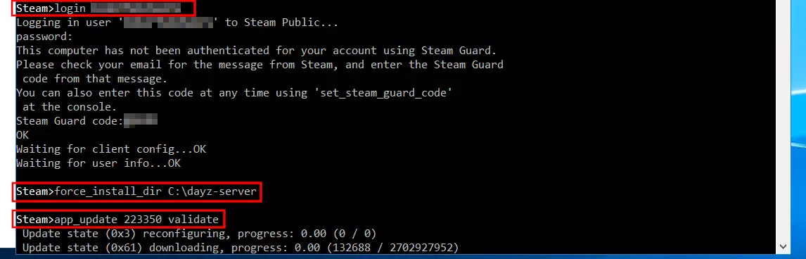 Imagen: SteamCMD: Instalación del servidor de DayZ