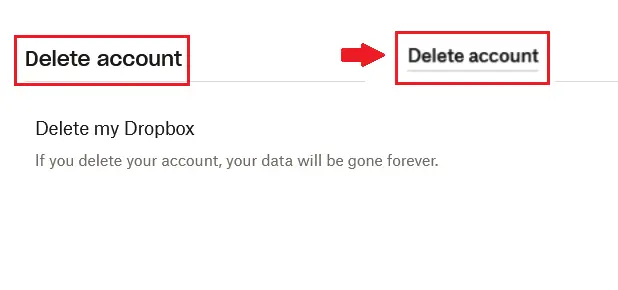 La opción “Eliminar cuenta“ de Dropbox Imagen: La opción “Eliminar cuenta“ de Dropbox