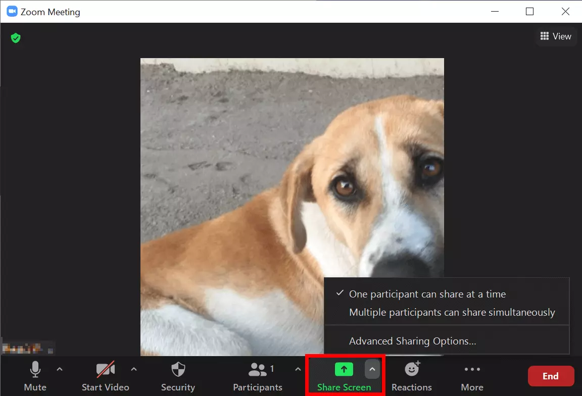 Imagen: Conferencia en curso con la opción de compartir la pantalla en Zoom