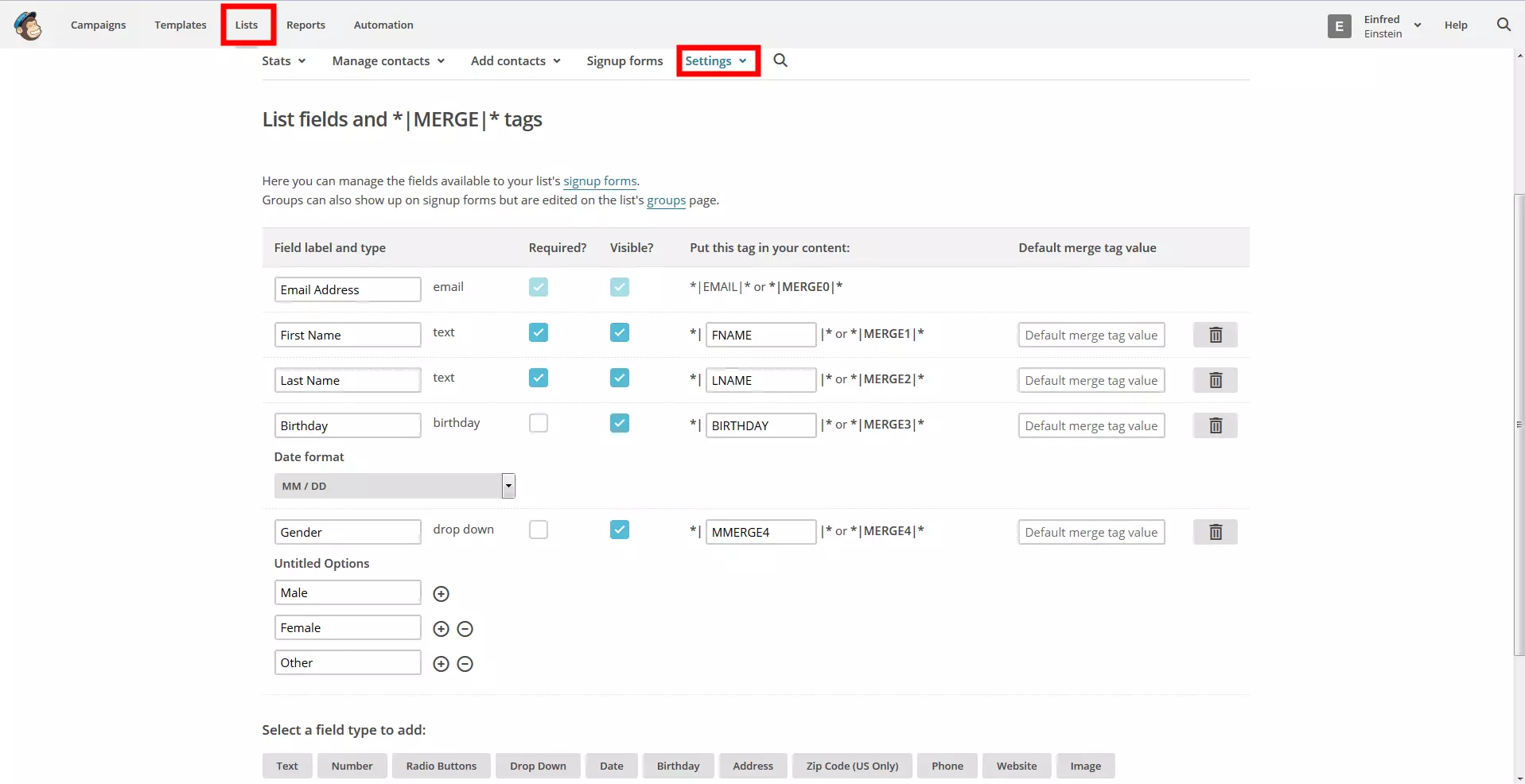 Imagen: Vista de los campos de lista en MailChimp