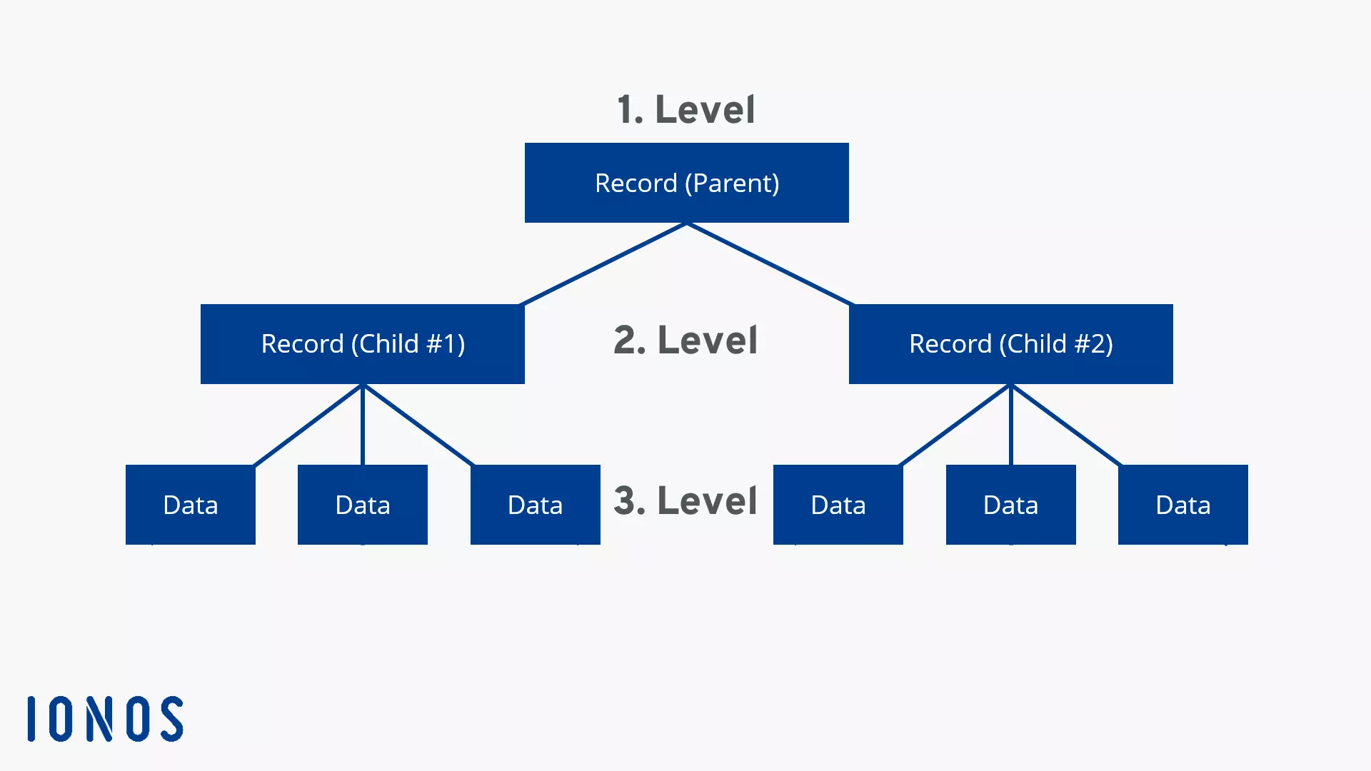 Bases de datos: historia, funciones y modelos - IONOS