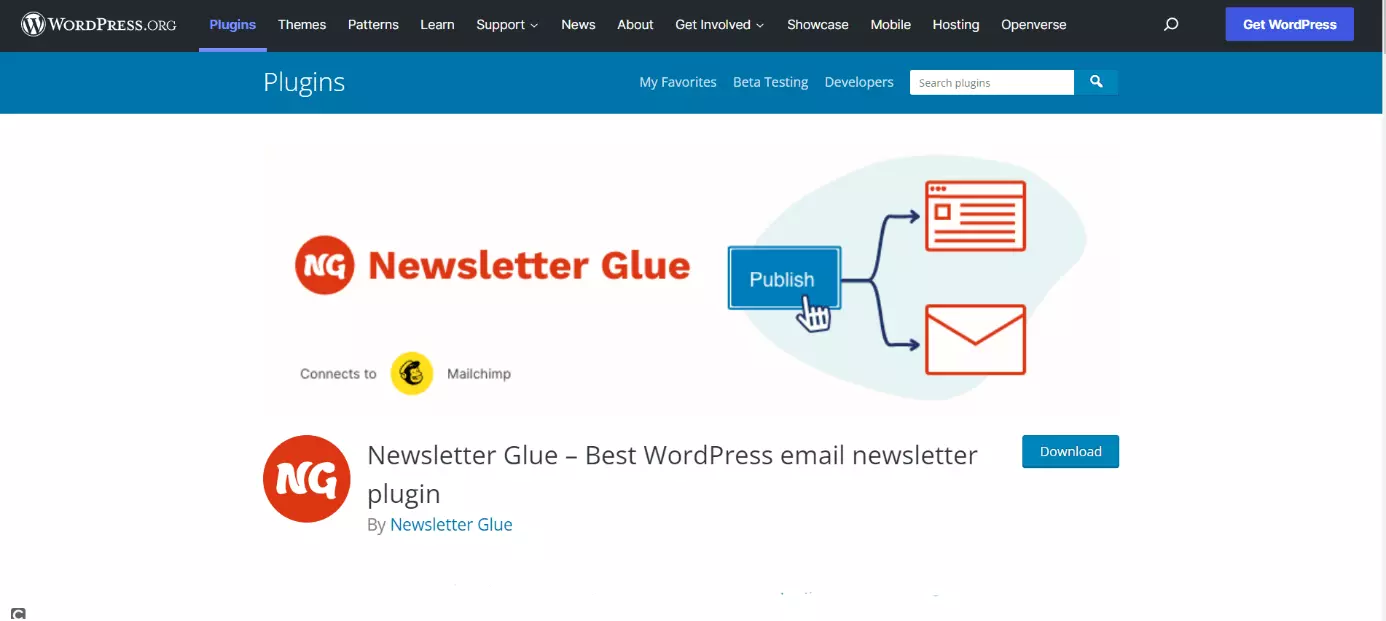 Imagen: Página de inicio de Newsletter Glue