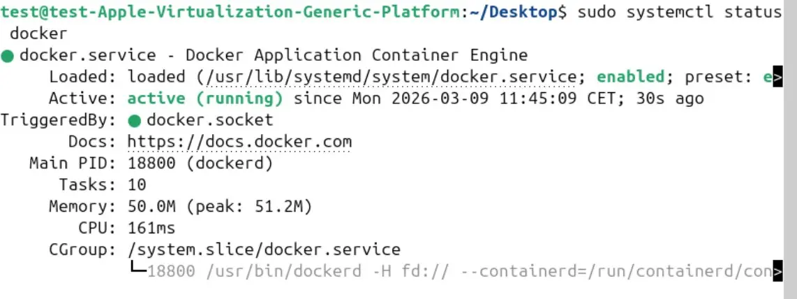 Visualización del estado de Docker Imagen: Visualización del estado de Docker