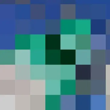 Primer nivel de representación de una imagen JPEG progresiva Imagen: Primer nivel de representación de una imagen JPEG progresiva