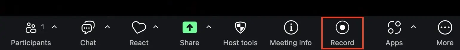 Botón “Grabar” en la barra de menú Imagen: Botón “Grabar” en la barra de menú